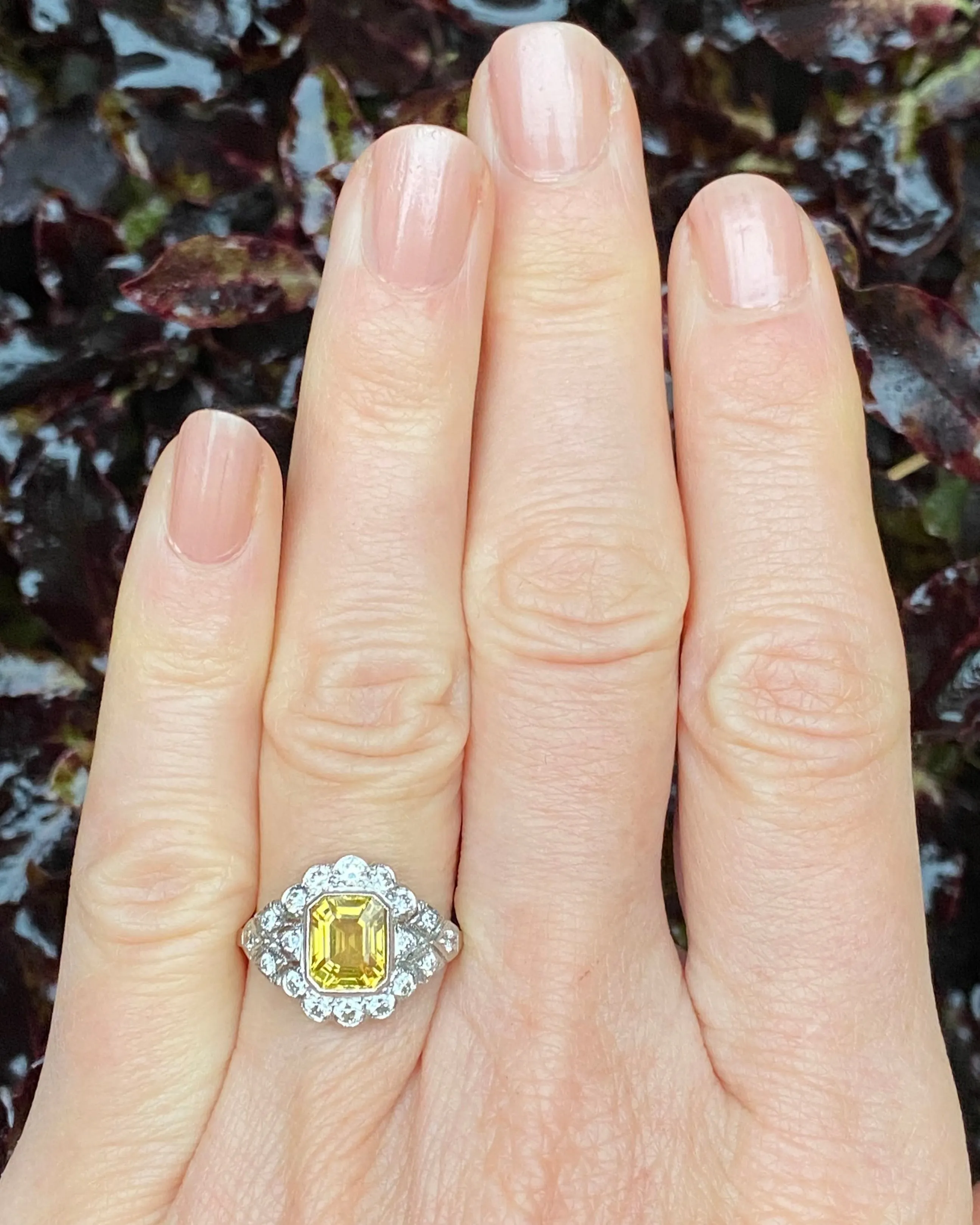 Edwardian Style Yellow Sapphire and Diamond Cluster Ring Platinum 0.50ct   1.55ct