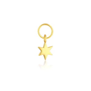Gold Earring Charm