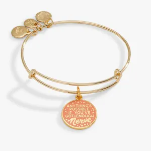 Harry Potter? Ginny 'Anything's Possible If You've Got Enough Nerve' Charm Bangle