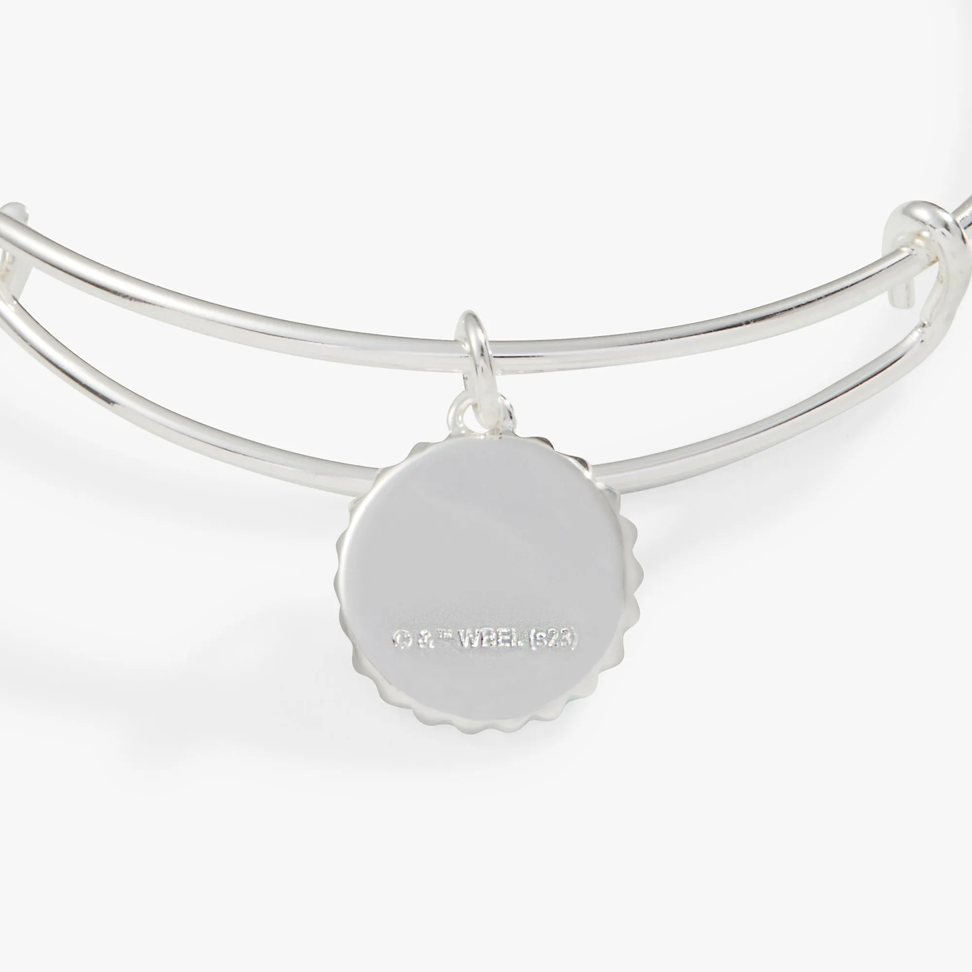 Harry Potter? Slytherin House Charm Bangle