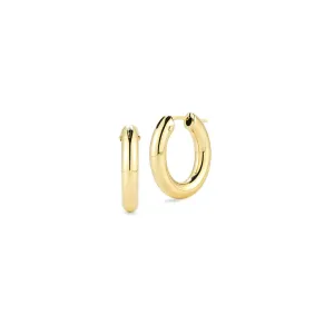 Perfect Oval Hoops