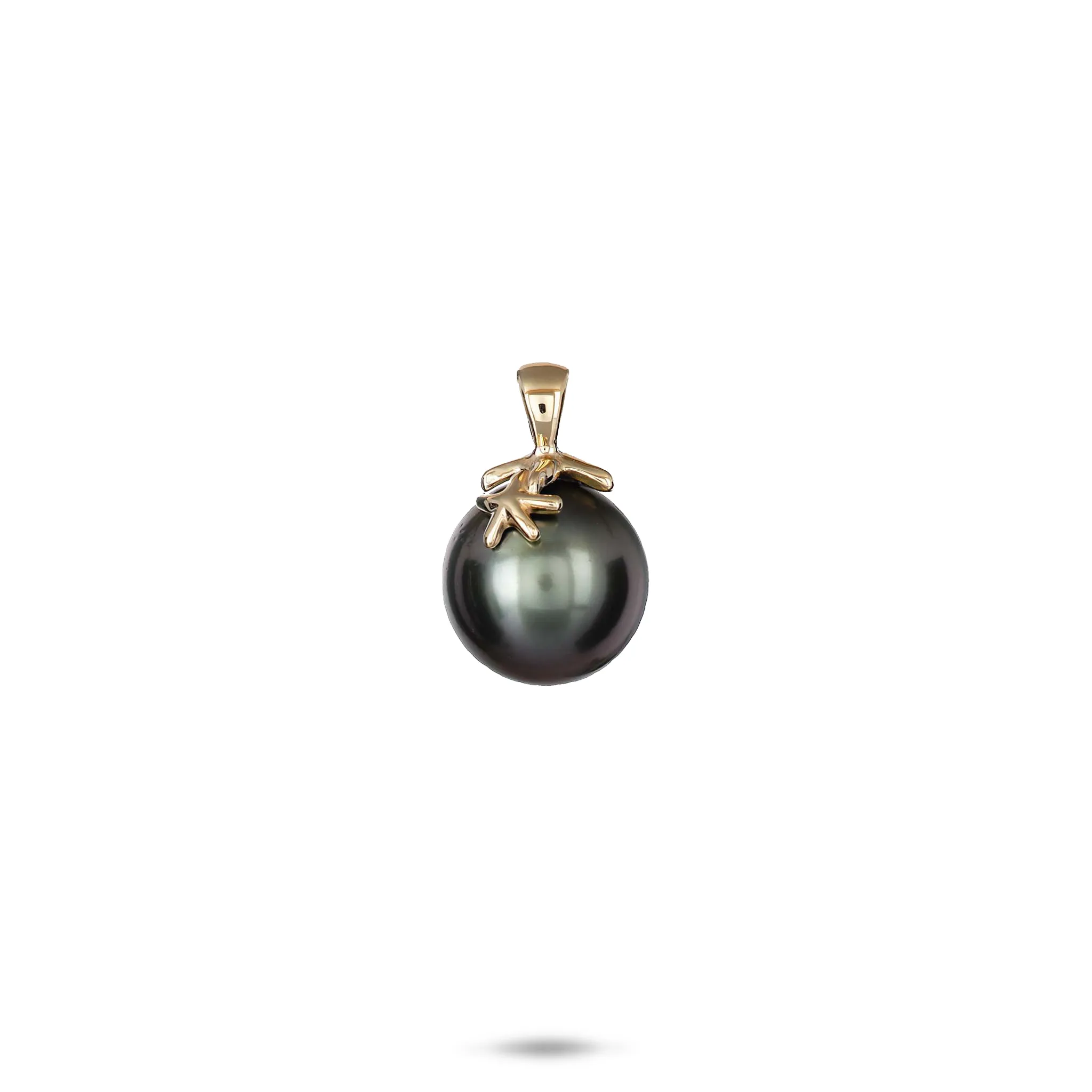 Reefs Starfish Tahitian Black Pearl Pendant in Gold - 10-11mm