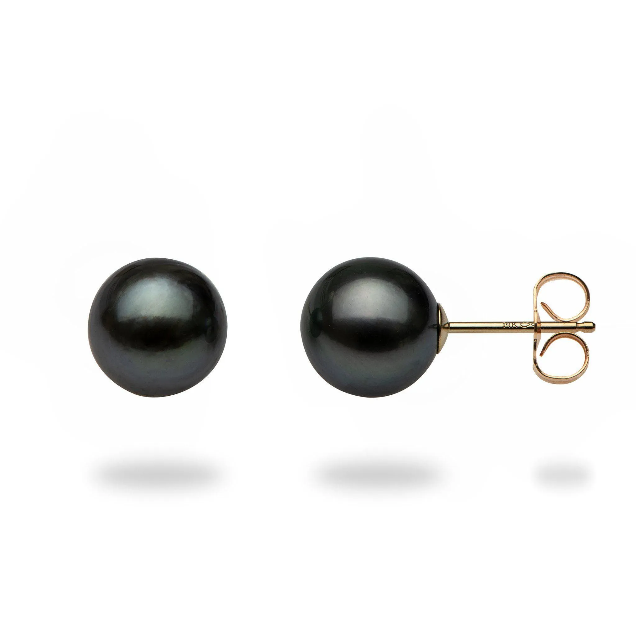 Tahitian Black Pearl Earrings in Gold - 8-9mm