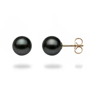 Tahitian Black Pearl Earrings in Gold - 8-9mm