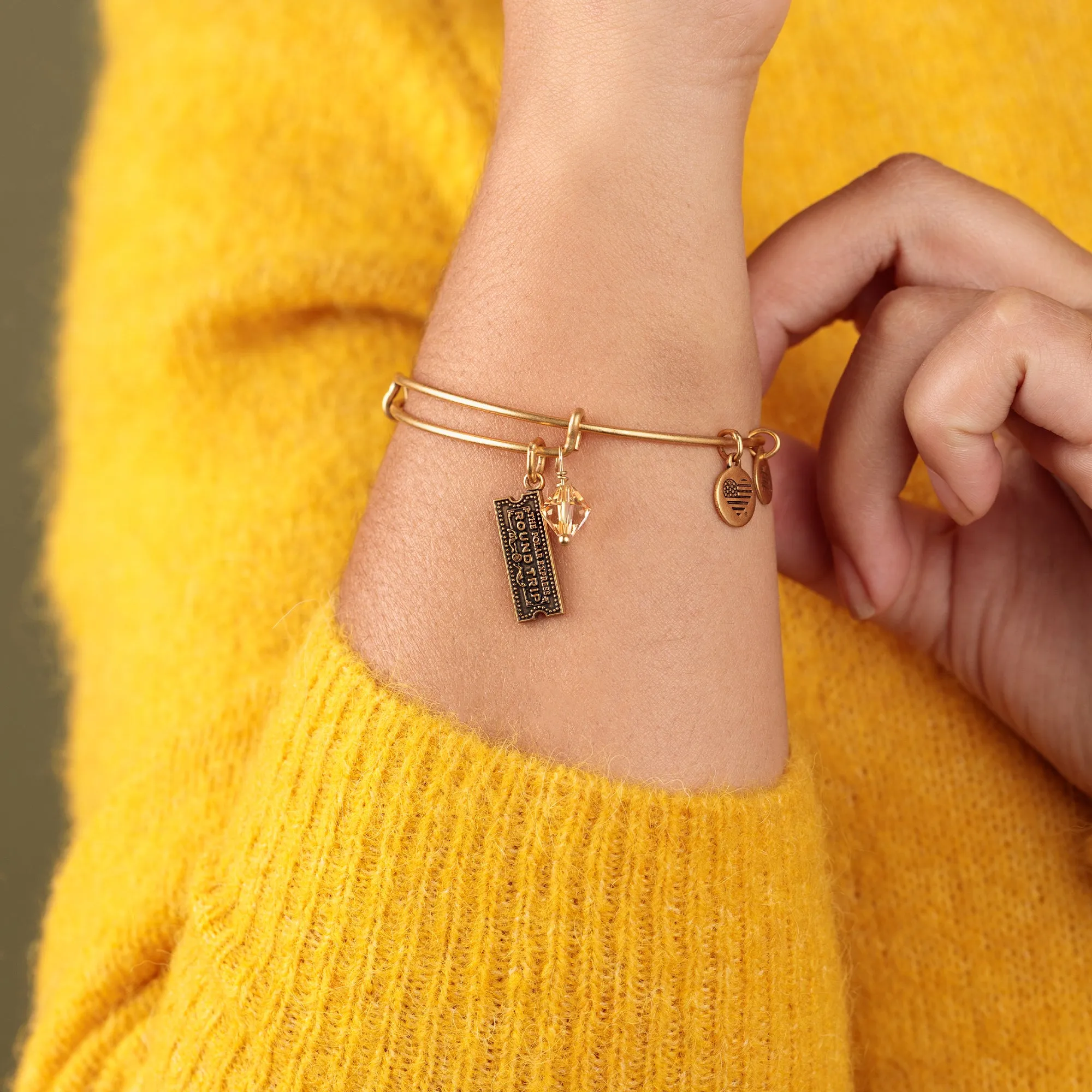The Polar Express? Train Ticket Duo Charm Bangle